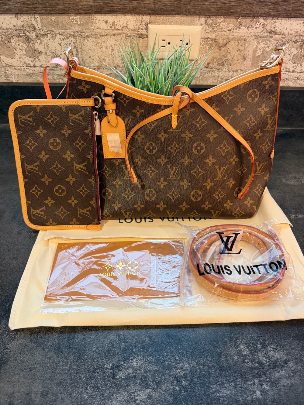 Louis Vuitton Carryall